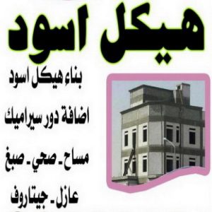 مقاول بناء هيكل اسود